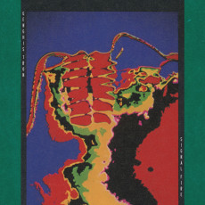 CD / Genghis Tron / Signal Fire