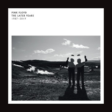 2LP / Pink Floyd / Later Years 1987-2019 / Vinyl / 2LP