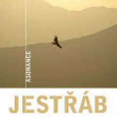 CD / Asonance / Jestb