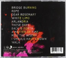 CD / Foo Fighters / Wasting Light