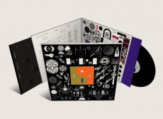 LP / Bon Iver / 22, A Million / Vinyl
