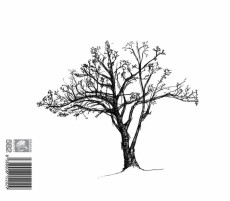 CD / Winter Frank / An Echo Flies / Digipack