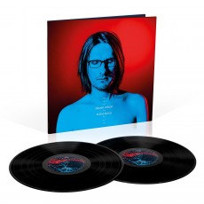 2LP / Wilson Steven / To the Bone / Vinyl / 2LP