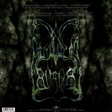 LP / Dimmu Borgir / Enthrone Darkness Triumphant / Vinyl
