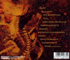 CD / Noise Forest / Morbid Instincts