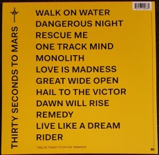 LP / 30 Seconds To Mars / America / Vinyl