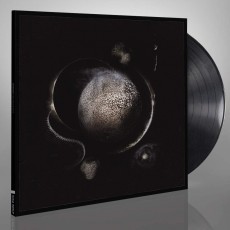 LP / Enthroned / Cold Black Suns / Vinyl