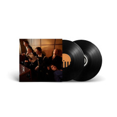 2LP / Giant Rooks / How Have You Been? / Vinyl / 2LP