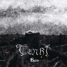 LP / Tenhi / Kaski / Clear / Vinyl