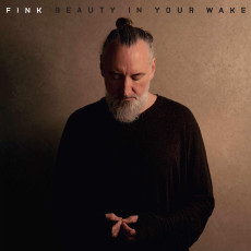 LP / Fink / Beauty In Your Wake / Vinyl