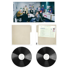 LP / Rex Orange County / Alexander Technique / 2LP