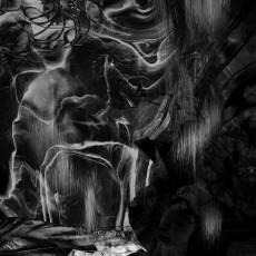 CD / Oranssi Pazuzu / Muuntautuja