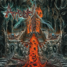 LP / Amputate / Abysmal Ascent / Vinyl