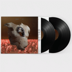 2LP / Soap & Skin / Torso / Vinyl / 2LP