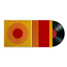 LP / Eno Brian & Beatie Wolfe / Luminal / Vinyl