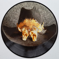 LP / Winter Johnny / Step Back / Picture / Vinyl