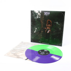 LP / Castle Rat / Into The Realm / Purple Green / Vinyl
