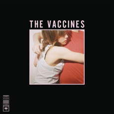 LP / Vaccines / What Did You Expect From The Vaccines / White / Viny