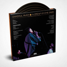 4LP / Okkervil River / Dream In the Dark Two Decades Of.. / Vinyl / 4LP