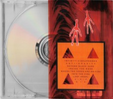 CD / These New Puritans / Inside the Rose