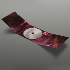 CD / Gaahls Wyrd / Braiding The Stories / Digipack