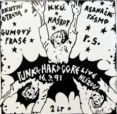 2LP / Various / Punk & Hard-Core Live Hlzov 16.3.91 / Vinyl / 2LP