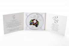 CD / Howe Steve & Virgil / Nexus / Digipack CD / Howe Steve & Virgil / Nexus / Digipack