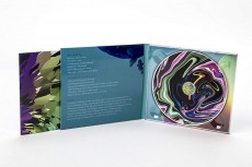 CD / Bent Knee / You Know What They Mean / Limited / Digipack CD / Bent Knee / You Know What They Mean / Limited / Digipack