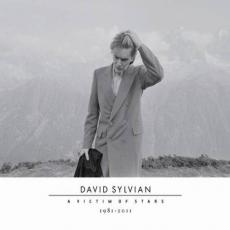 2CD / Sylvian David / Victim Of Stars1982-2012 / 2CD