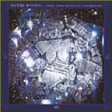 CD / In The Woods / Three Times Seven On A Pilgrimage