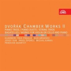 7CD / Dvok Antonn / Chambers Works II / 7CD / Box