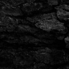 CD / October Falls / Kaarna