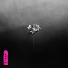 CD / Little Simz / Lotus
