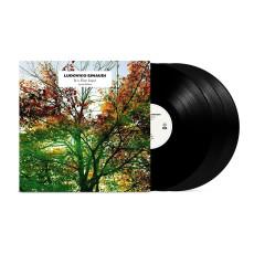 3LP / Einaudi Ludovico / In A Time Lapse / Vinyl / 3LP