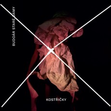 LP / Budor star dmy / Kostiky / Vinyl