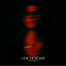 2LP / Kushner David / Dichotomy / Vinyl / 2LP