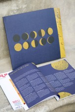 2LP / Various / Full Moon 10 / Vinyl / 2LP