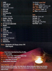 DVD / Kalandra Petr Memory Band / Live