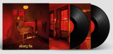 2LP / Fontaines D.C. / Skinty Fia / Deluxe / Vinyl / 2LP