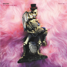 LP / Arab Strap / Turning Of Our Bones / Vinyl / Singel