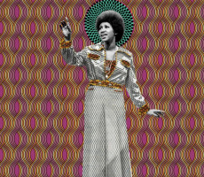 2LP / Franklin Aretha / Aretha / Vinyl / 2LP
