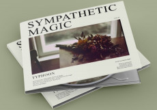 CD / Typhoon / Sympathetic Magic / Digipack