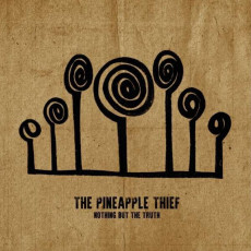 2LP / Pineapple Thief / Nothing But the Truth / Live / Vinyl / 2LP