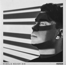 2LP / Hardwell / Rebels Never Die / vinyl / 2LP