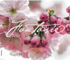 CD / Vaculov Kristina / Fantaisie
