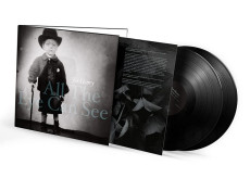2LP / Henry Joe / All The Eye Can See / Vinyl / 2LP