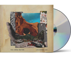 CD / MATTHEWS DAVE BAND / Walk Around the Moon