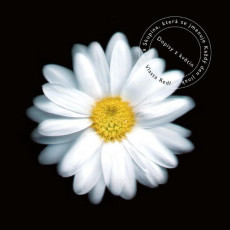 CD / Redl Vlasta / Dopisy z kvtin / 20th Anniversary