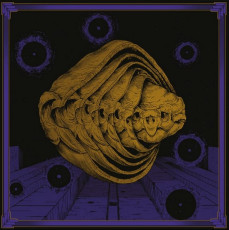 LP / Tortuga / Iterations / Purple / Vinyl
