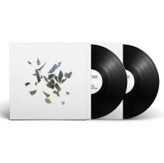 2LP / These New Puritans / Field Of Reeds / 10th Anniversary / Vinyl / 2LP